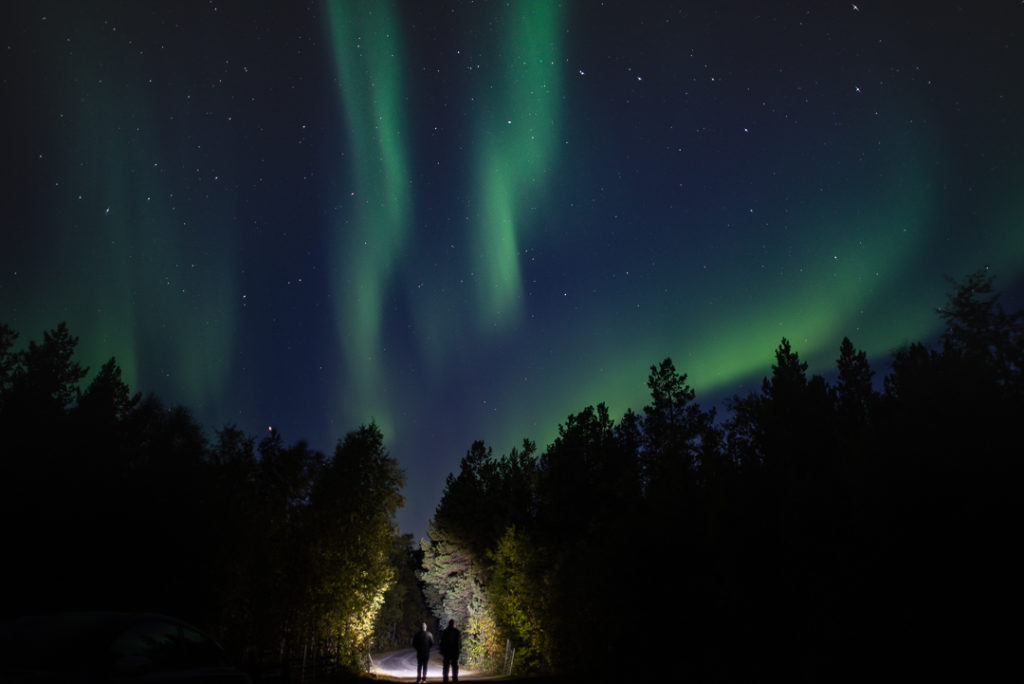 Couple standing in a pine forest, lit from behind, under the northern lights.
